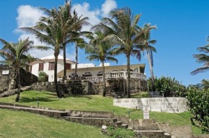 Palm trees blowing in the warm Bajan breeze at the Round House Restaurant in St Joseph, Barbados