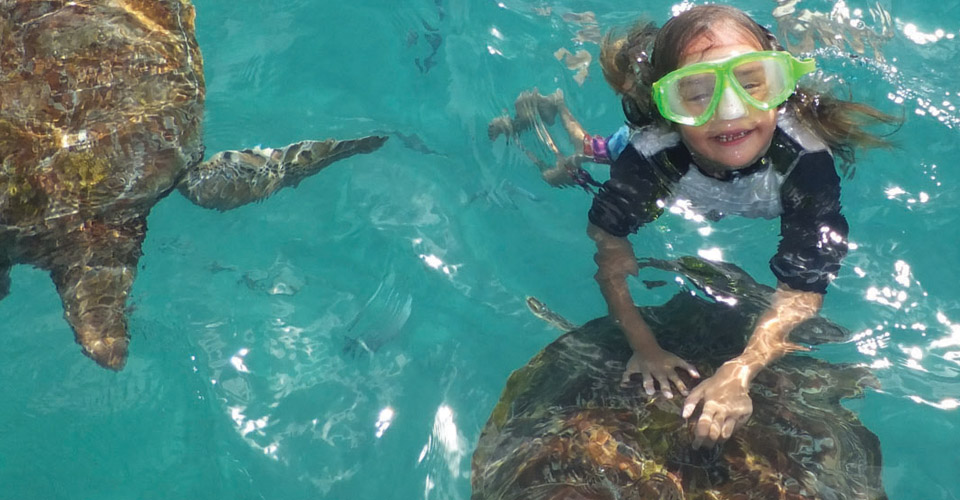 Family Friendly Resorts - girl swims with turtles in Barbados