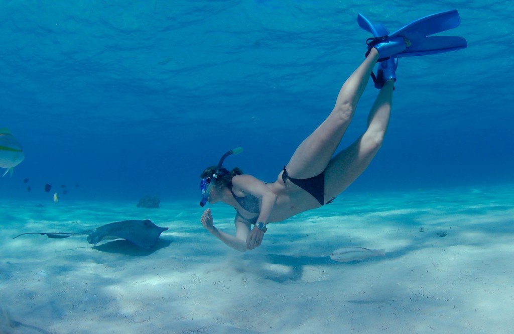 Swimming with Stingrays at Stingray City