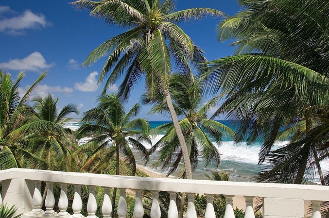 View of palm trees and beach from the Round House Restaurant in Barbados