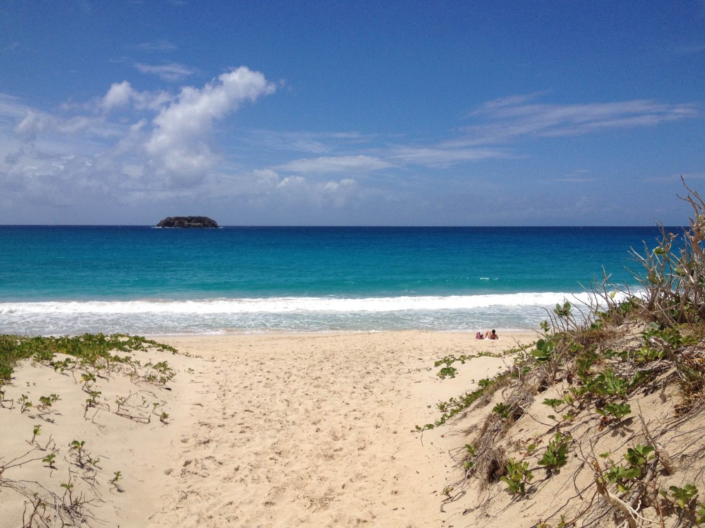 St Barts. Saline beach is sandy and the perfect spot to relax in the sun