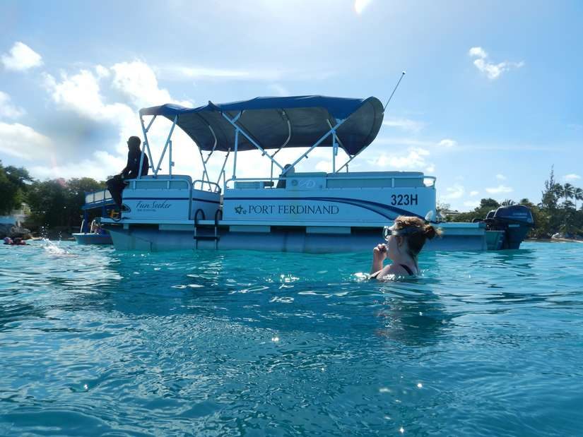 Barbados swimming with turtles