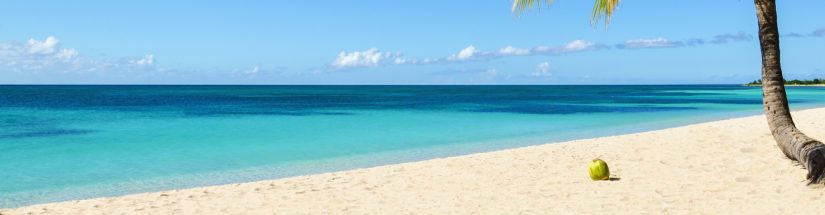 A Picture of a lovely tropical beach