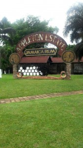 The Entrance to the Apple Rum Estate