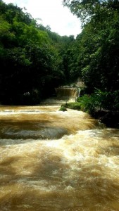 The rapids at Ys Falls in Jamaica