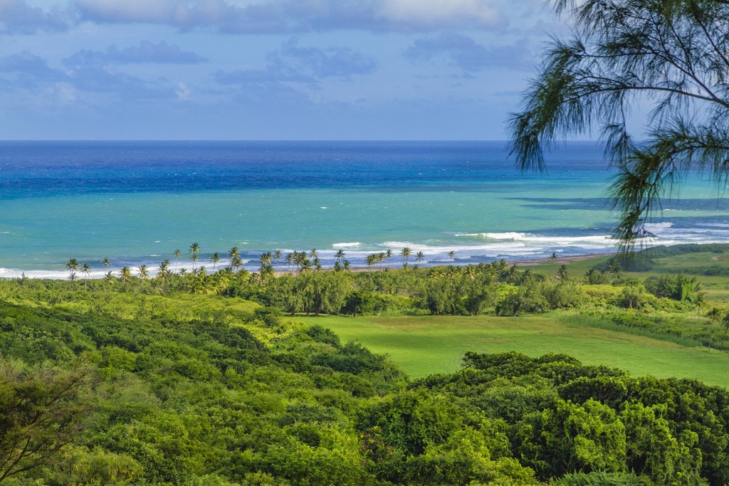 The Cattlewash as viewed from Mellows Hill in the Parish of St.John, Barbados