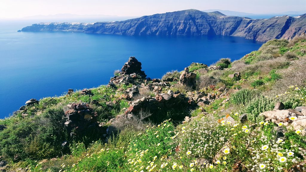 Sunlit view of the Santorini caldera overgrown ruins in the foreground