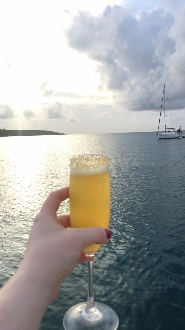 A hand holding a glass of champagne up to the sea