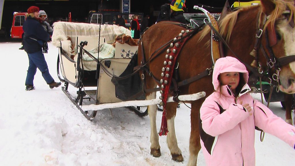 A horse-drawn sleigh waits in the snow for its next passengers