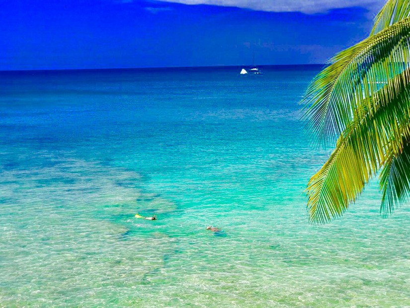 snorkeling in Barbados republic