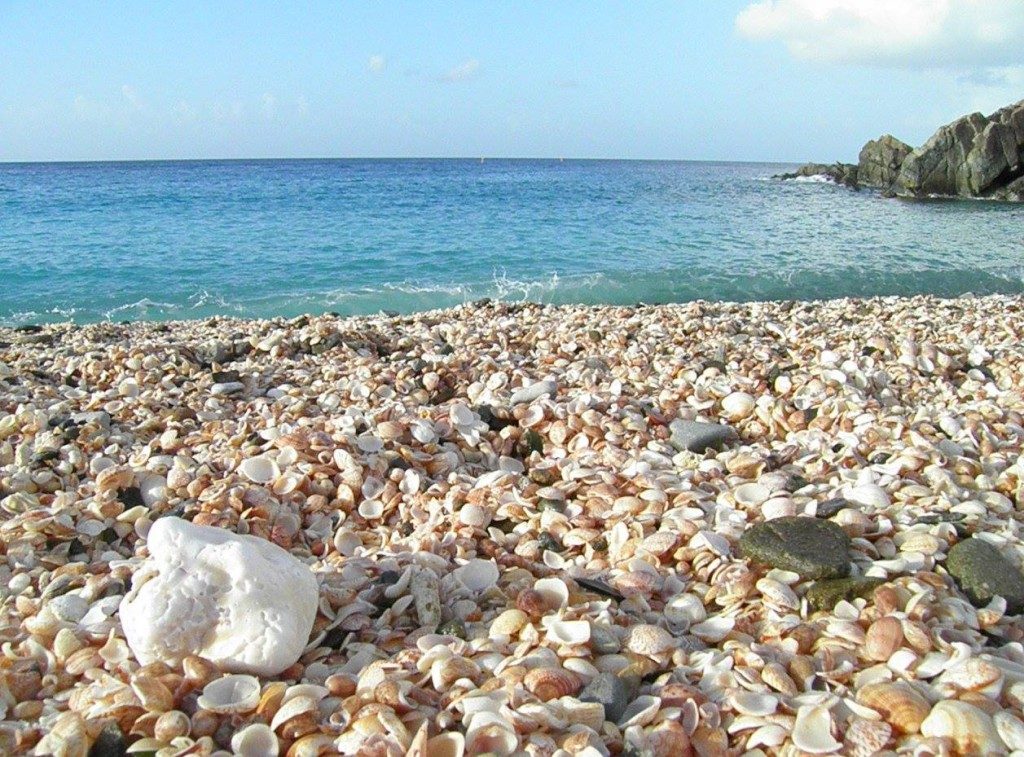 Shell Beach in St barts