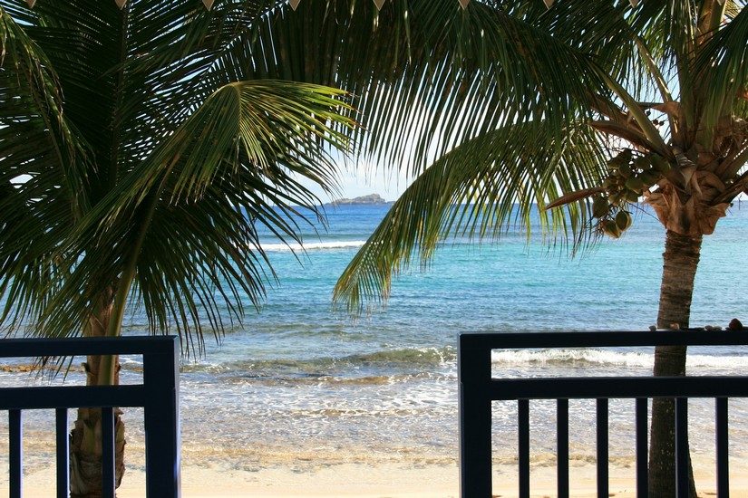 Gorgeous view of the sand and sea through some palm trees from your villa terrace