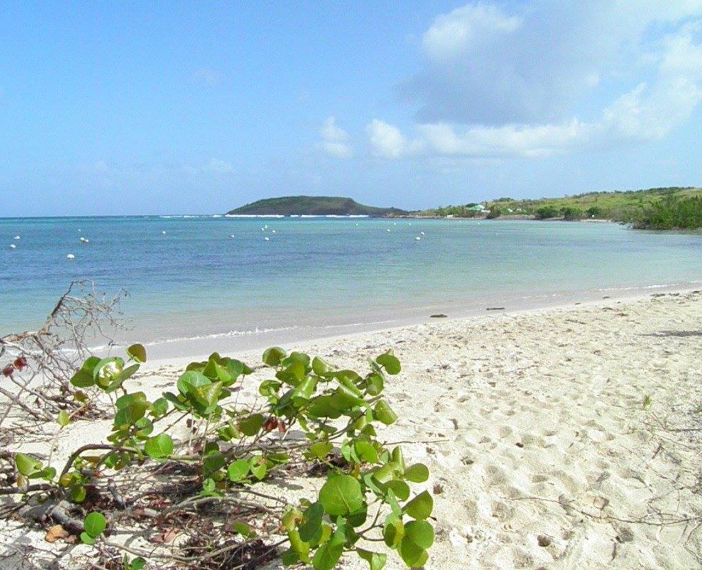 Walking on Grand Cul De Sac beach just past Le Barthelemy hotel A sands-eye-view across Grand Cul De Sac Beach