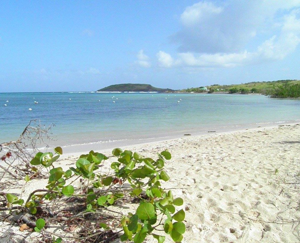 A sands-eye-view across Grand Cul De Sac Beach