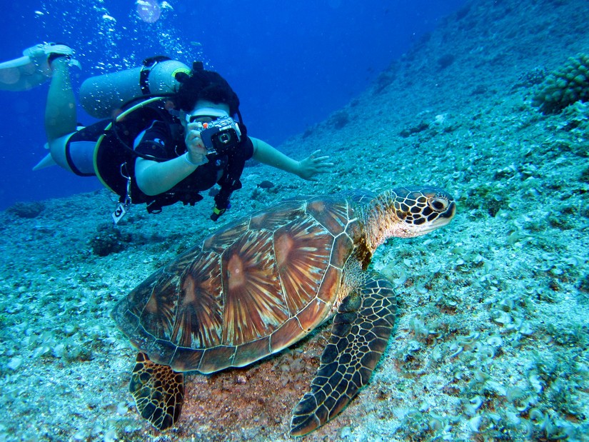 Diving Spring Break Destinations
