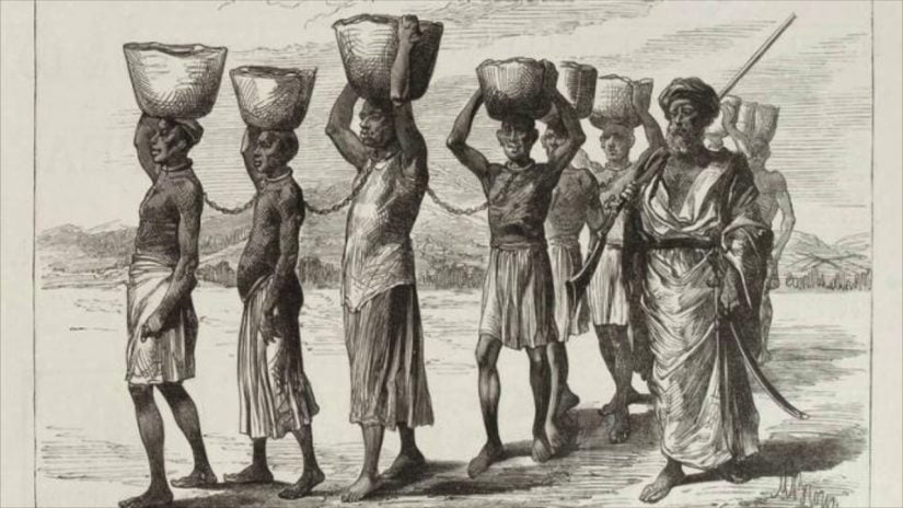 The Barbados slave trade was established as the British needed manpower to clear, cultivate and harvest sugarcane,