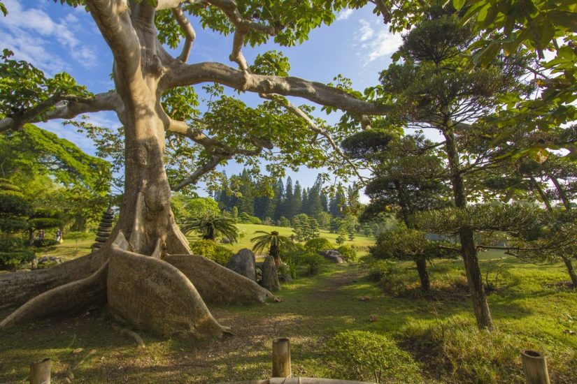 Cap Cana embeds its own ecological reserve, protecting the flora and fauna that inhabit these incredible settings Enjoy a guided tour through Cap Canas nature reserves as you experience the vivacious greenery and bursts of flowers