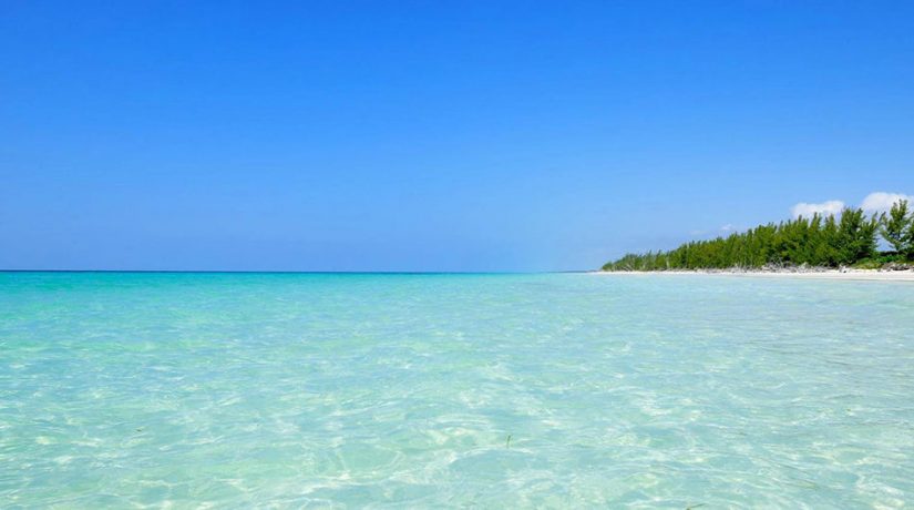 Our friendly concierge team can take care of all the details during your stay in the Bahamas There are many fun Bahamas points of interest to enjoy during your stay in the Caribbean