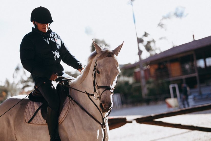 Costa rica activities could not get better than the annual horse Parade in the capital San Jose.