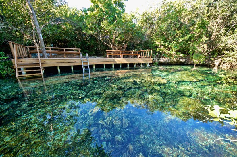 The luxurious ecological reserve is an incredible crystallized spring with refreshing turquoise waters to swim in The best luxury resorts in Dominican republic include Puntacana for its incredible setting and luxury accomodation
