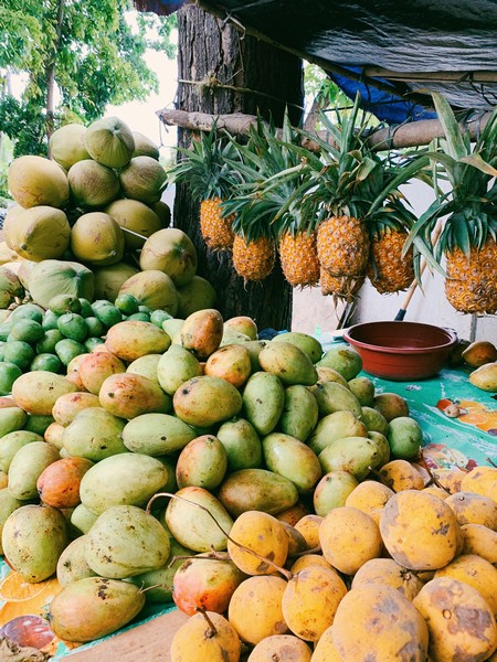 The Best things to do in costa rica is to enjoy the tropical fruits that grow around the country and the fresh tropical juices 
