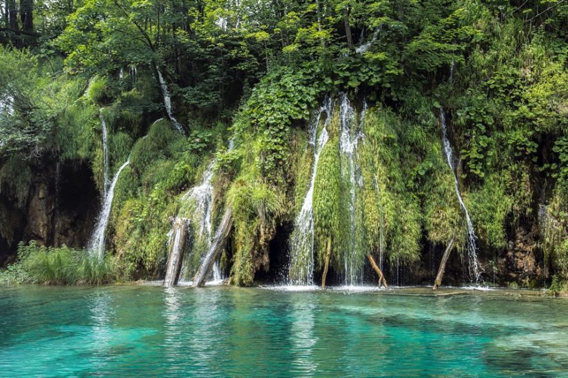With roughly 25% of land laced with protected nature reserves and national parks, there is plenty to discover and explore Costa rica attractions include the expansive jungles and dense nature reserves, chattering with monkeys and macaws