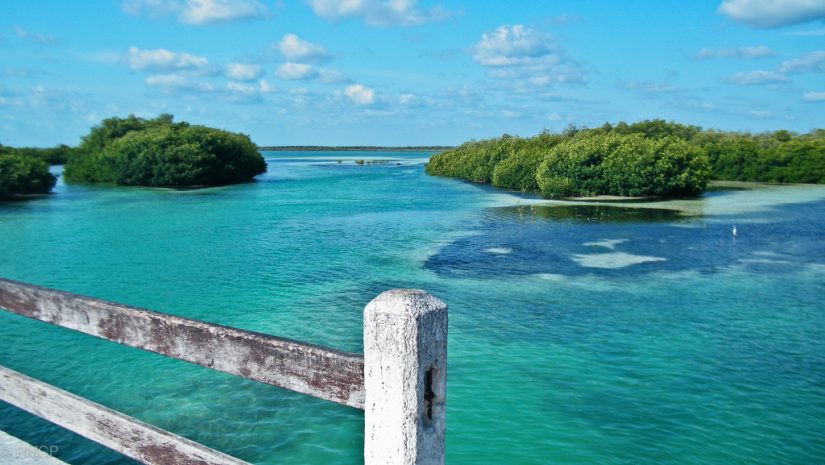 Enjoy the panoramic views and the tranquil ambiance here in this protected area Sian Ka’an, a serene Nature reserve, is one of the Best things to do in riviera maya