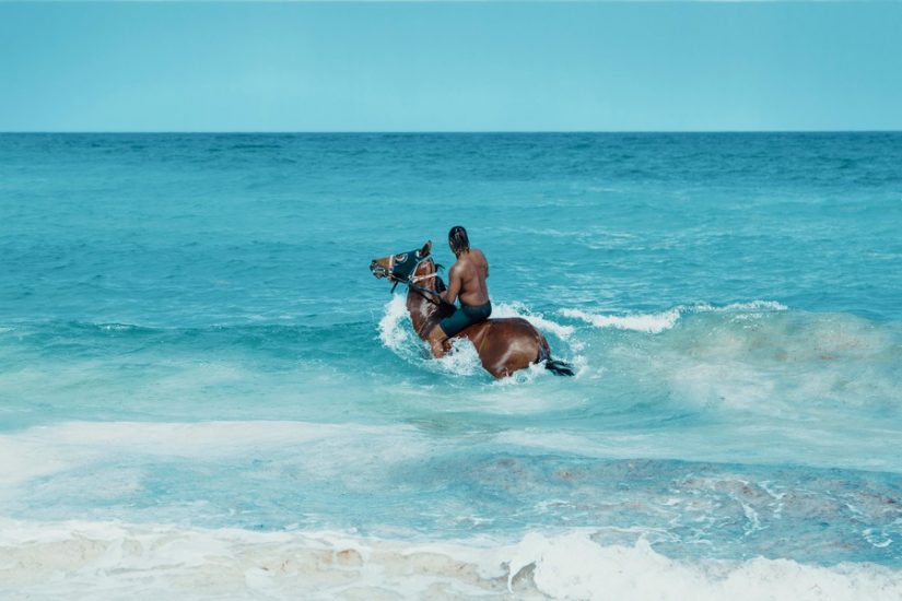 Half moon bay horseback riding is a great way to explore the beach and the shallow warm waters during your stay