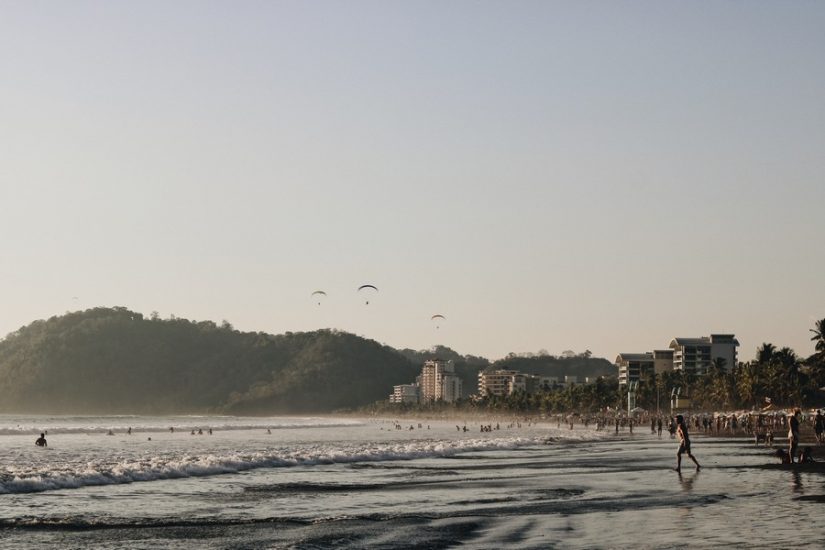 A big line of palm trees with the sea soaring off into the distance