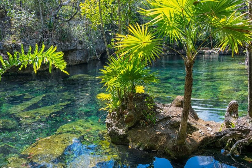 Looking for Fun things to do in Playa del Carmen? Xel Ha Park has all you could possibly ask for! Looking for Fun things to do in Playa del Carmen? Xel Ha Park has all you could possibly ask for!