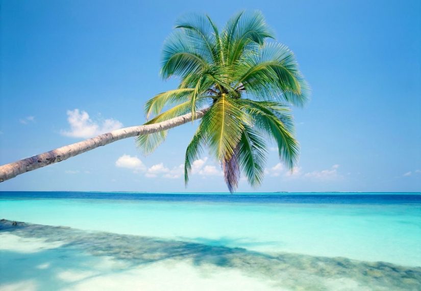 Te most beautiful Places to visit in Mexico are dotted along the prestigious coastline