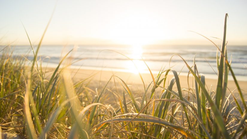 The beaches are some of the best places to visit in costa rica, overlooking the dazzling Pacific Ocean. 