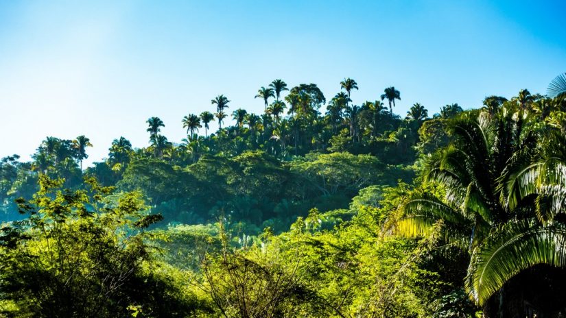 Laced in nature reserves and lush tropical jungles, Costa Rica provides you with endless views With hundreds of vibrant places to visit in costa rica, why not book your next vacation in this incredible country