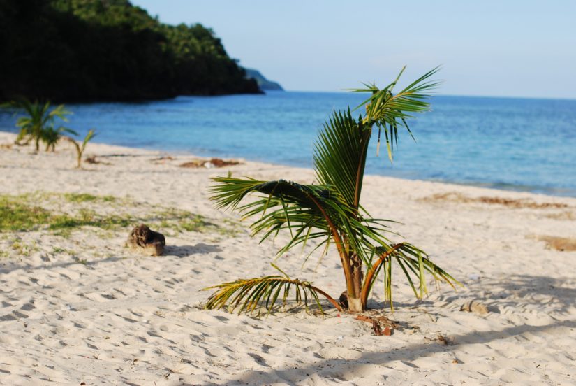 This secluded beach captures the panoramic sea views perfectly, and is surround by vivacious tropical greenery Retreat to the golden paradise of Rincon Beach, one of the best beaches in Dominican republic