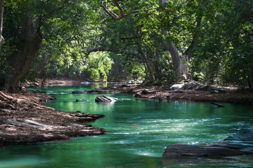 Gem-like turquoise waters are laced through the island, in nature reserves a the and along the shimmering coast With many of the best beaches in Dominican republic nearby, don't forget to also enjoy the natural area, bursting with vibrant nature reserves.