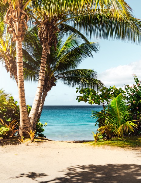 Enjoy a drink beside the sea, along sun kissed shoreline of Minitas beach Minitas Beach is one of the best Dominican Republic beaches with its lavish sandy shoreline and crystallized turquoise waters