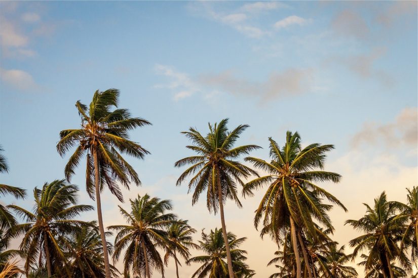Jet off to the Caribbean islands for an ultimate getaway Caribbean islands