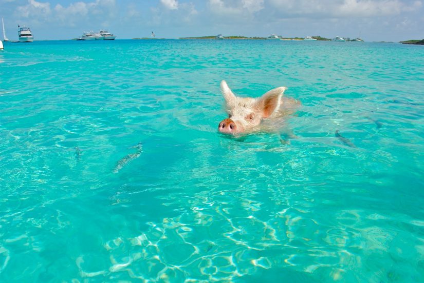 Caribbean islands 