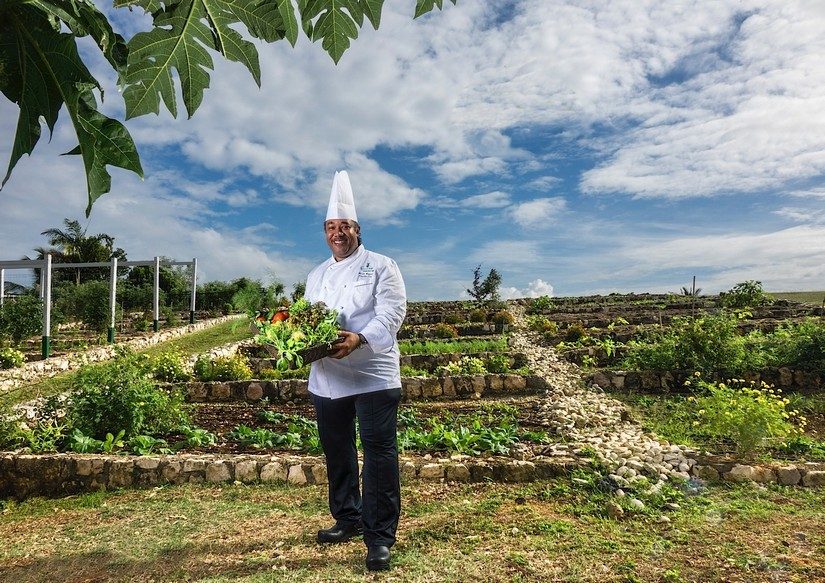 Chef In Organic Garden
