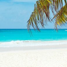 Grand Cayman Resorts
