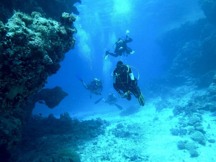 カリブ海のベットダイビングを楽しむ海中のダイバーたち