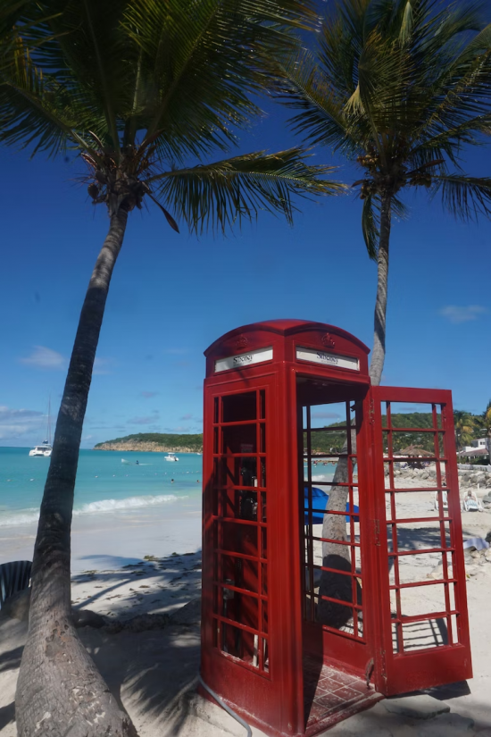 antigua beach palm trees