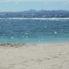Loungers and palm trees on a beach on St Maarten