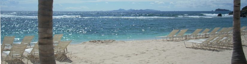 Loungers and palm trees on a beach on St Maarten