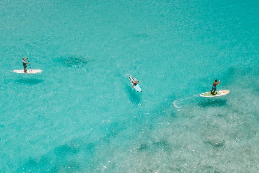 people on paddleboards in the sea