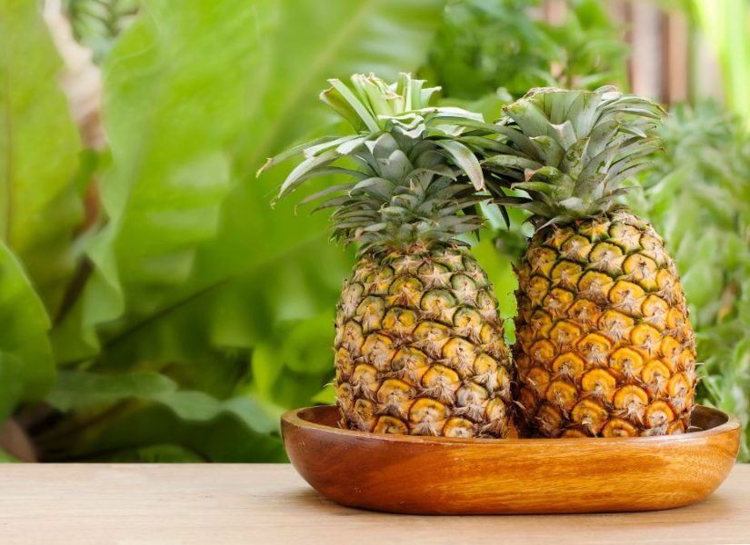 Antigua pineapple