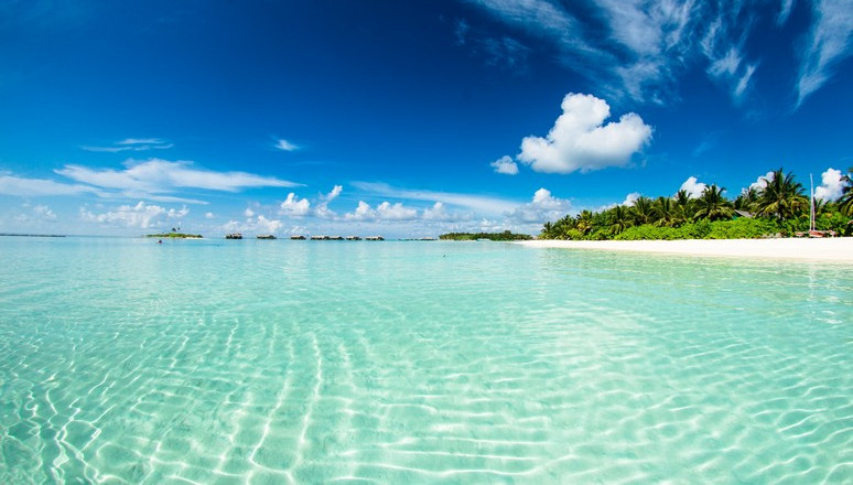 Best Islands to Visit in the Bahamas