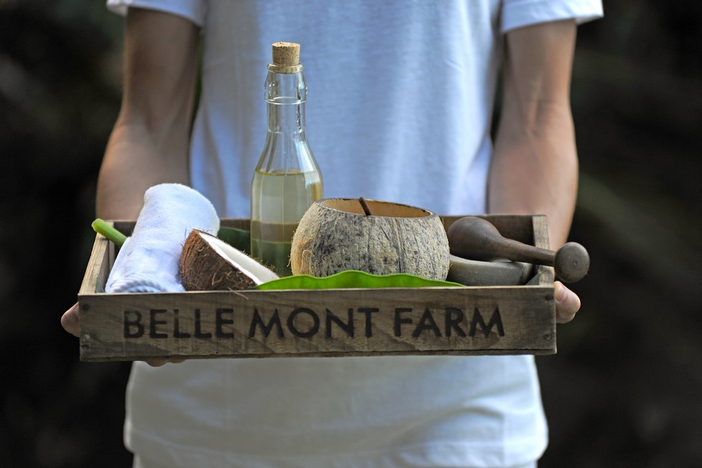 Welcome to Belle Mont Farm