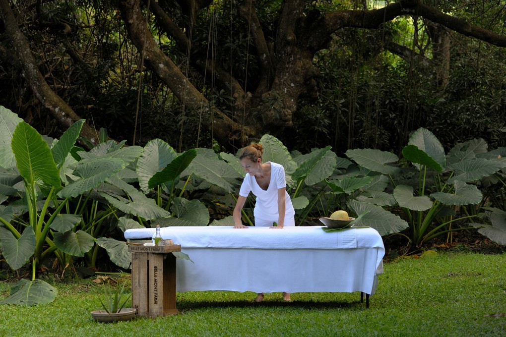 A masseuse gets ready to provide calming therapy at Belle Mont Farm