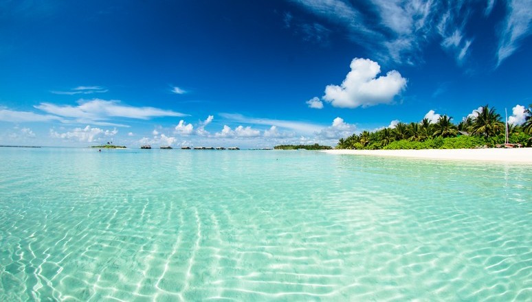 A beach view in the Bahamas